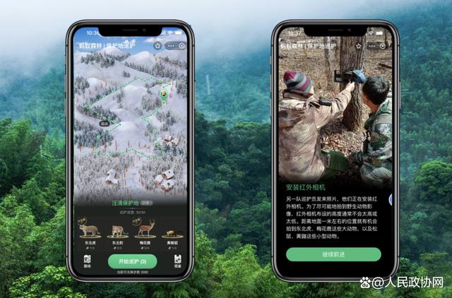网络信息如何推动公益活动的公众参与